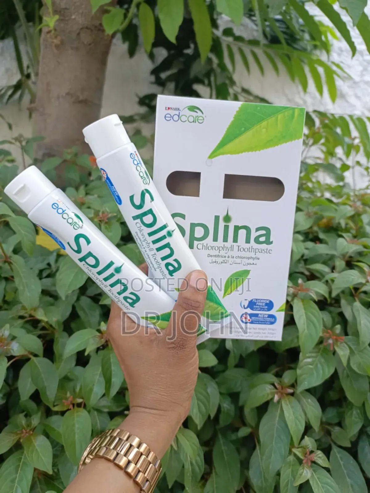 Edmark Splina Chlorophyll Toothpaste
