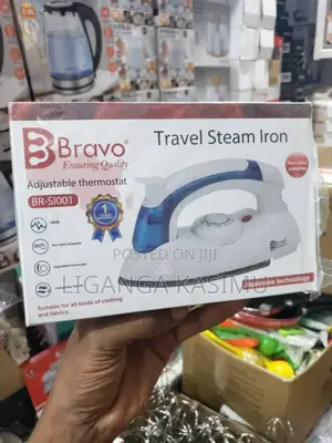 Travel Stimer Iron