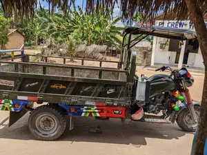 Bajaj 2025 Black