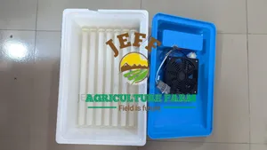 30 Eggs Incubator 2025
