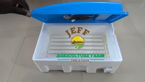 30 Eggs Incubator 2025