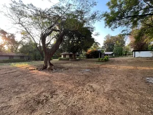 4bdrm House in Moshi Urban for rent