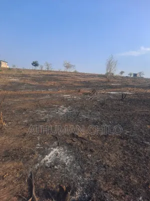 Shamba Linauzwa Kiwangwa Bagamoyo Pwani
