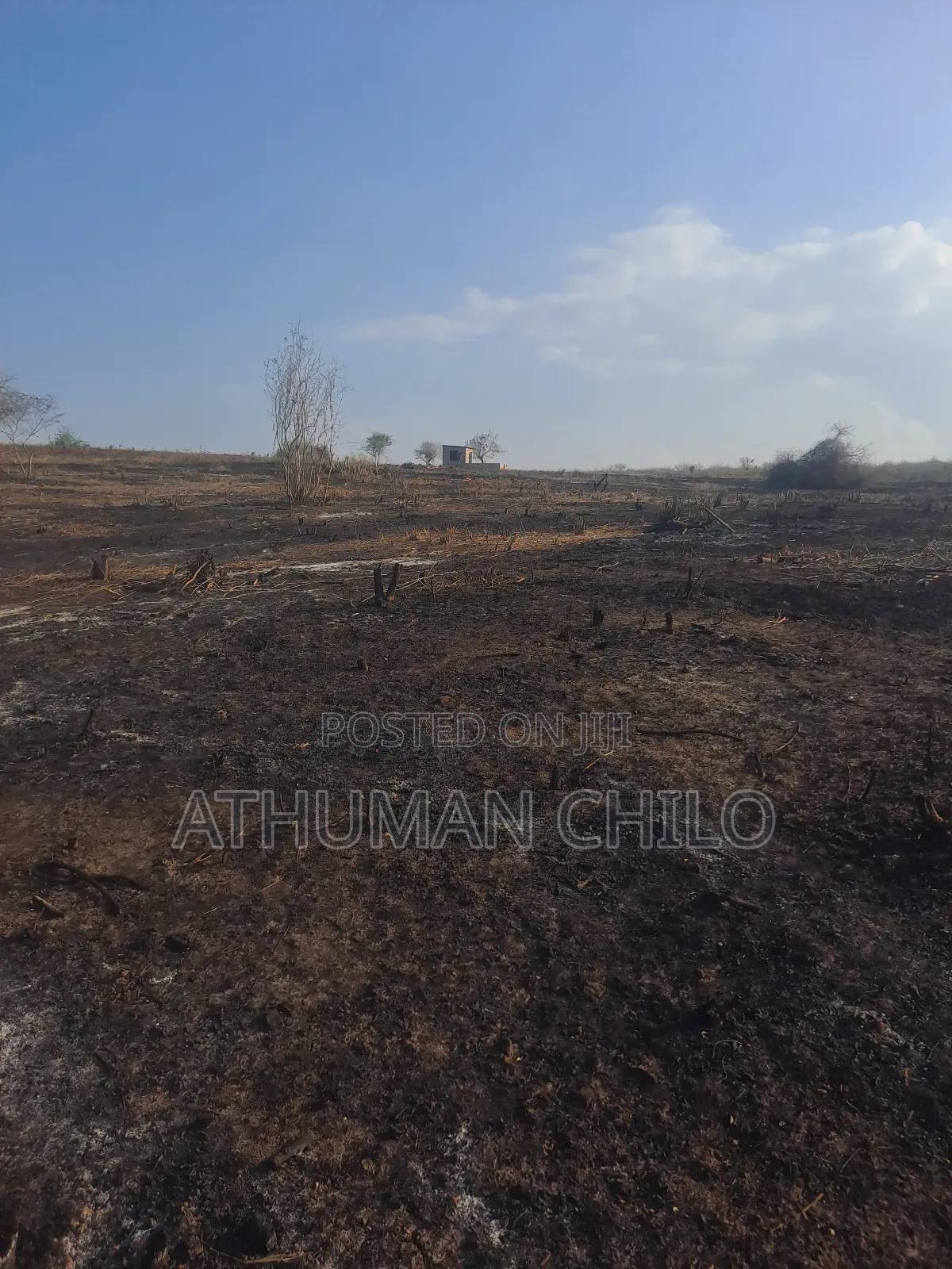 Shamba Linauzwa Kiwangwa Bagamoyo Pwani