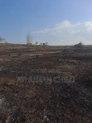 Shamba Linauzwa Kiwangwa Bagamoyo Pwani