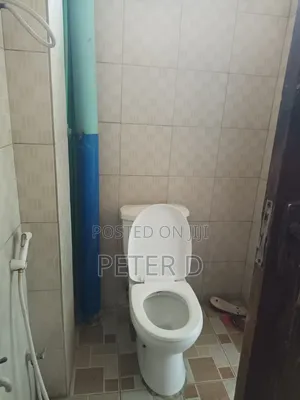 1bdrm Apartment in Kariakoo for rent