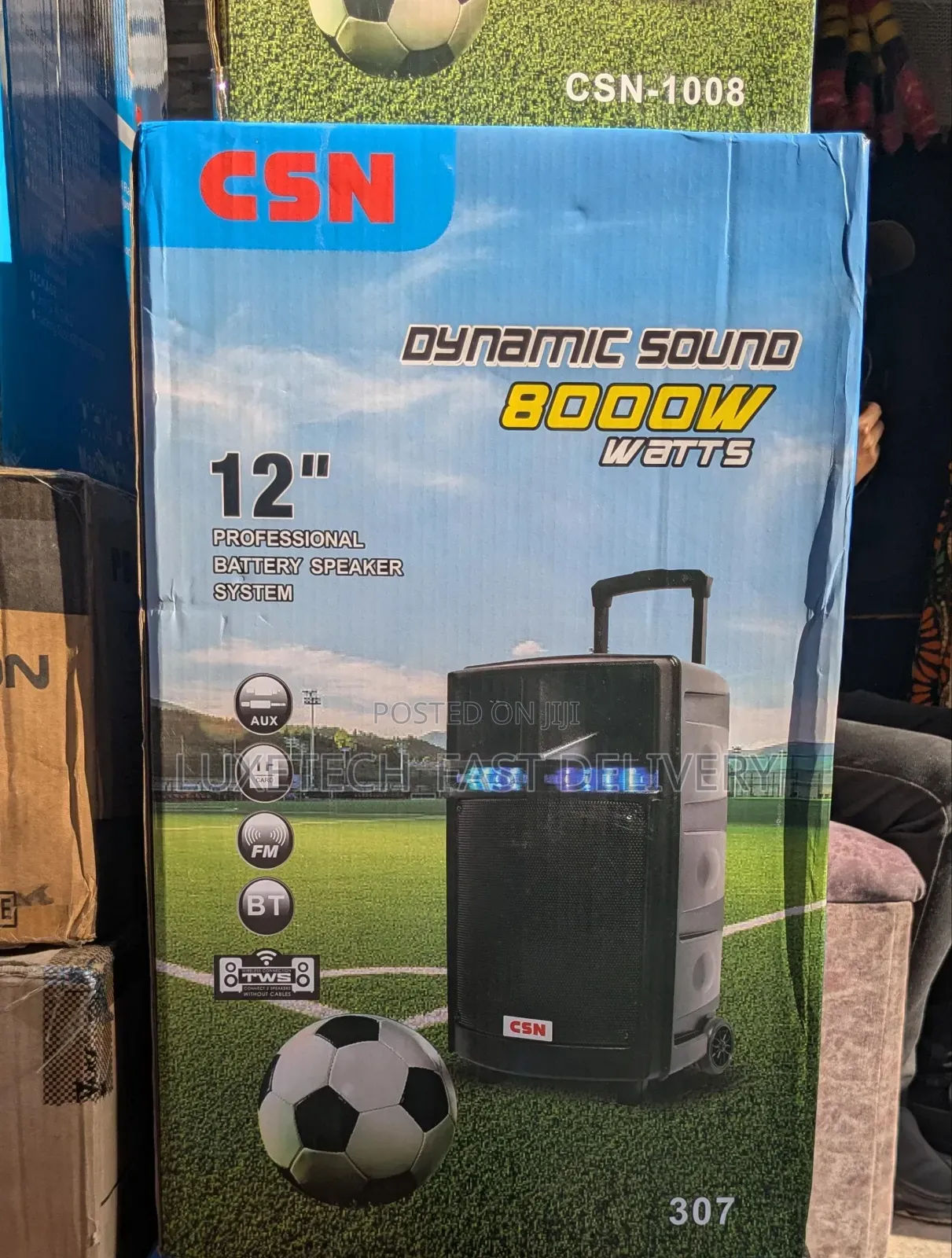 CSN 12" Portable Speaker