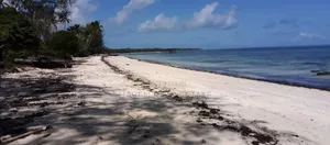 80,000sqmt Beach Plot for Sale at Zanzibar