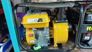 Luxury Water Pump 3'