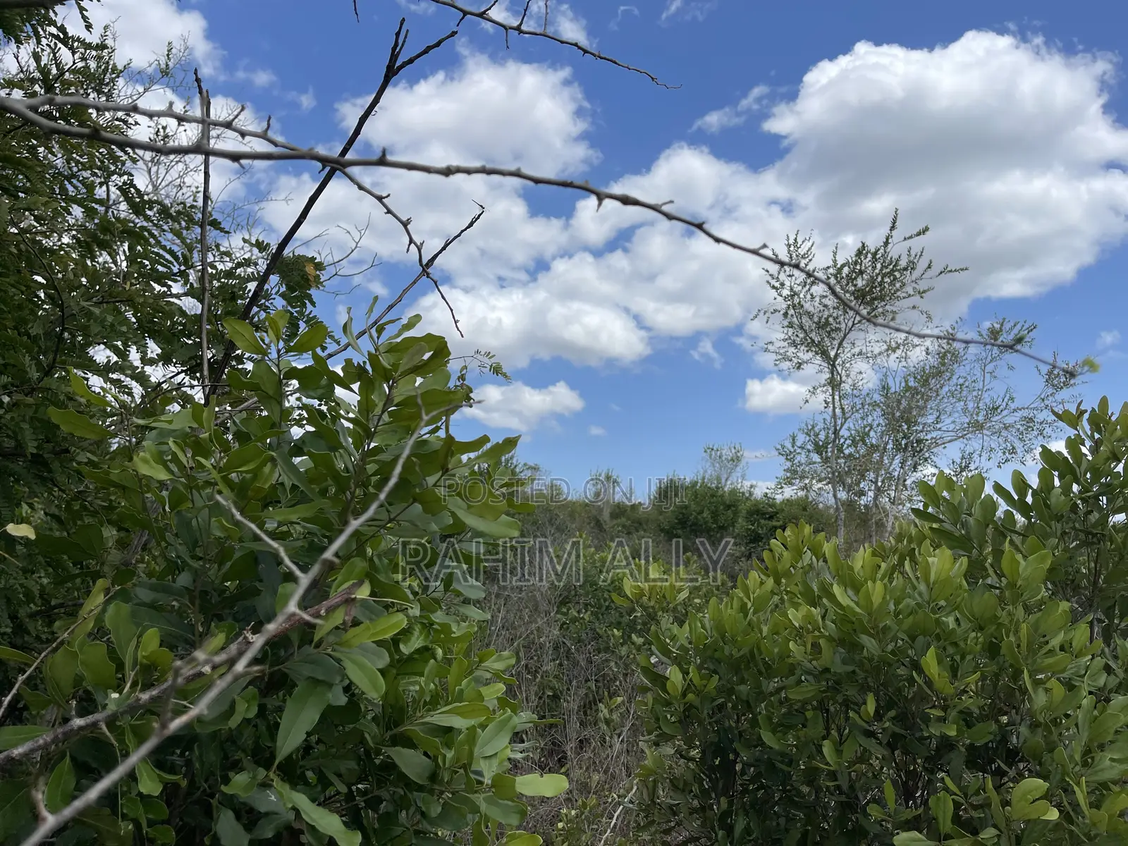 Shamba Linauzwa