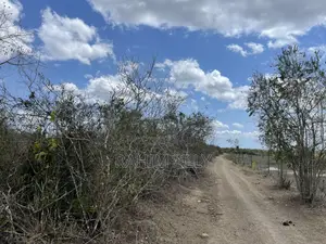 Shamba Linauzwa