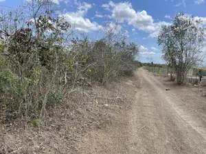Shamba Linauzwa