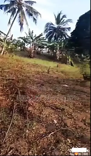 Dar Kibamba: Kiwanja Ekari 1.5 Barabara Ya Morogoro Kinauzwa