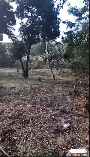 Dar Kibamba: Kiwanja Ekari 1.5 Barabara Ya Morogoro Kinauzwa