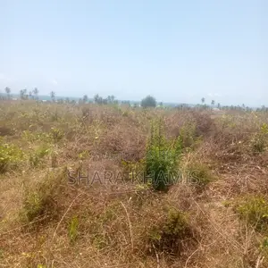 Matemwe Spacious Land on Sale