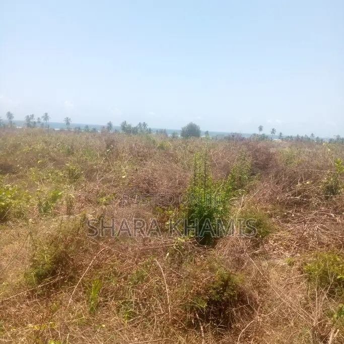 Matemwe Spacious Land on Sale