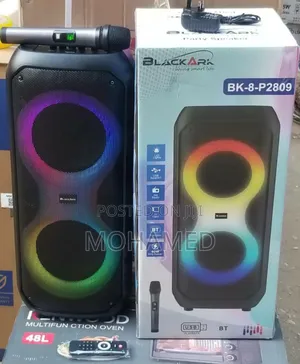Black Ark Party Speaker Ina Mic