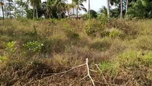Plot for Sale at Mlandizi Msufini