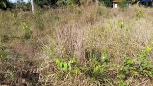 Plot for Sale at Mlandizi Msufini