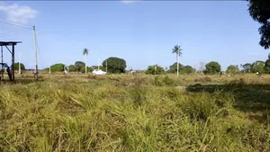 Kiwanja Kikubwa Bagamoyo Kinauzwa