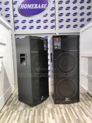 Rich Sound Professional Speaker