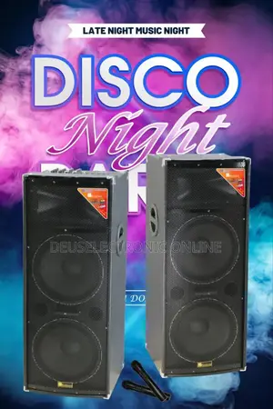 Rich Sound Professional Speaker