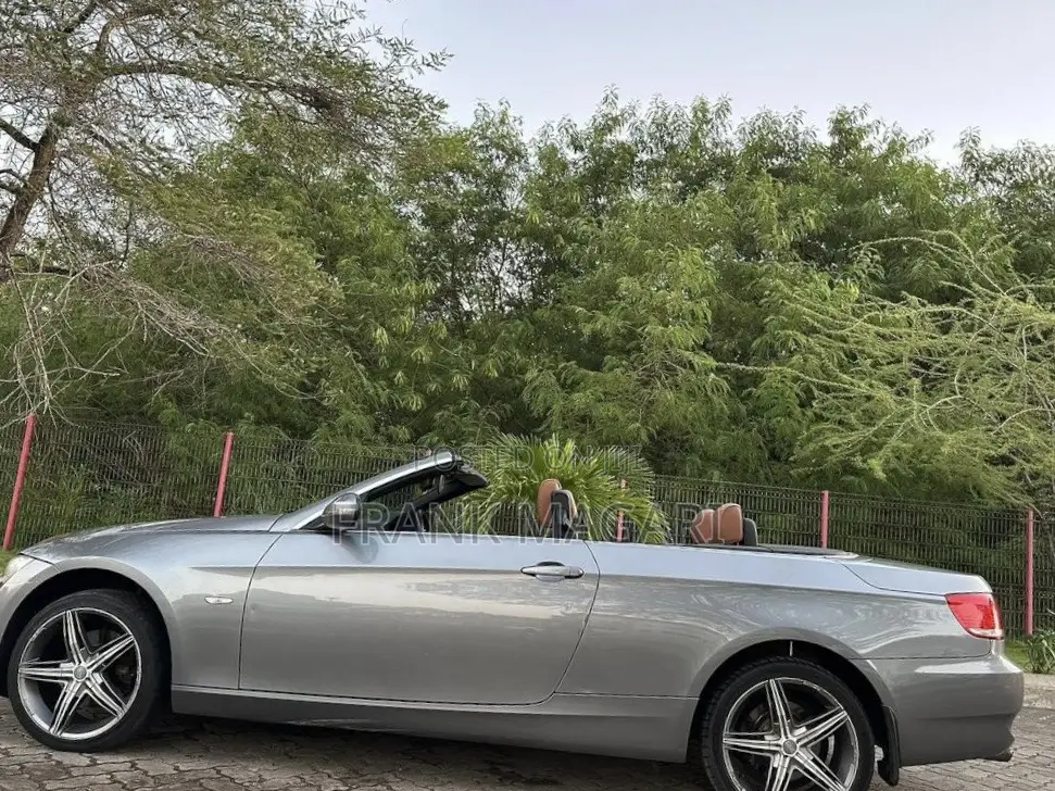 BMW 3 Series 2009 Gray