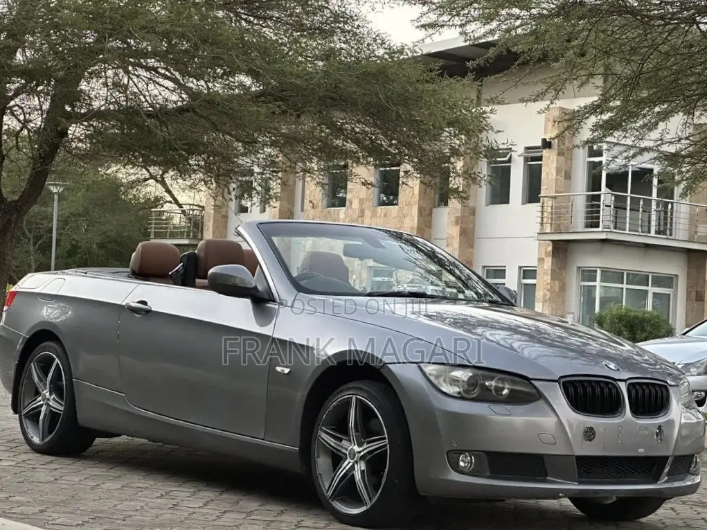 BMW 3 Series 2009 Gray