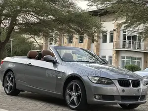 BMW 3 Series 2009 Gray