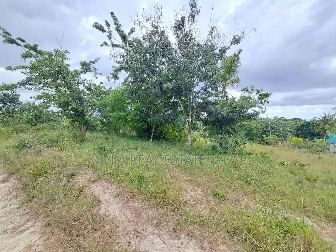 50,000 Acres Plot for Sale in the Songea