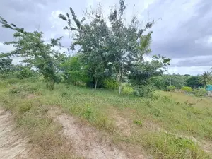 50,000 Acres Plot for Sale in the Songea