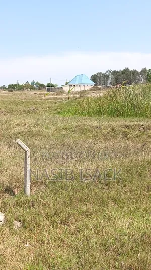 Plot for Sale Mwanza Saut3995squeeter