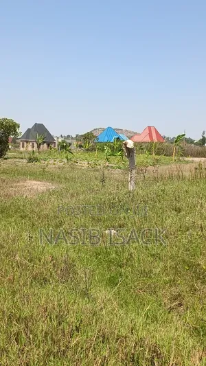 Plot for Sale Mwanza Saut3995squeeter
