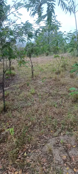 Plot for Sale at Kibaha