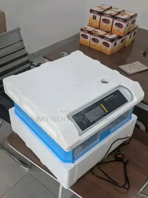 Eggs Incubator