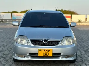 Toyota Allex 2002 Silver