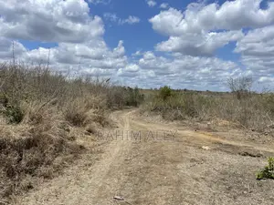 Shamba Linauzwa Kiwangwa Eka 170