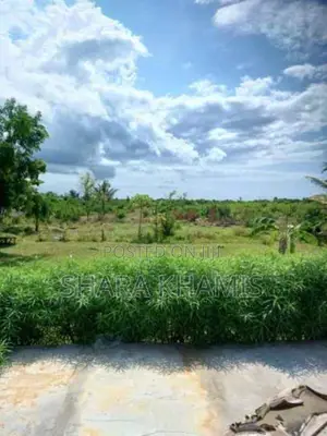 Michamvi Land for Investment on Sale