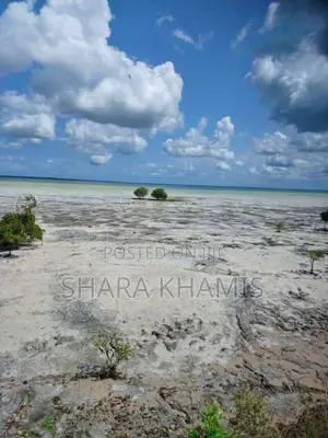 Michamvi Land for Investment on Sale