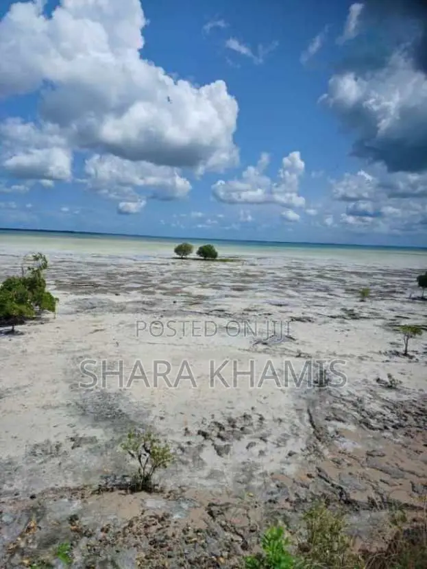 Michamvi Land for Investment on Sale