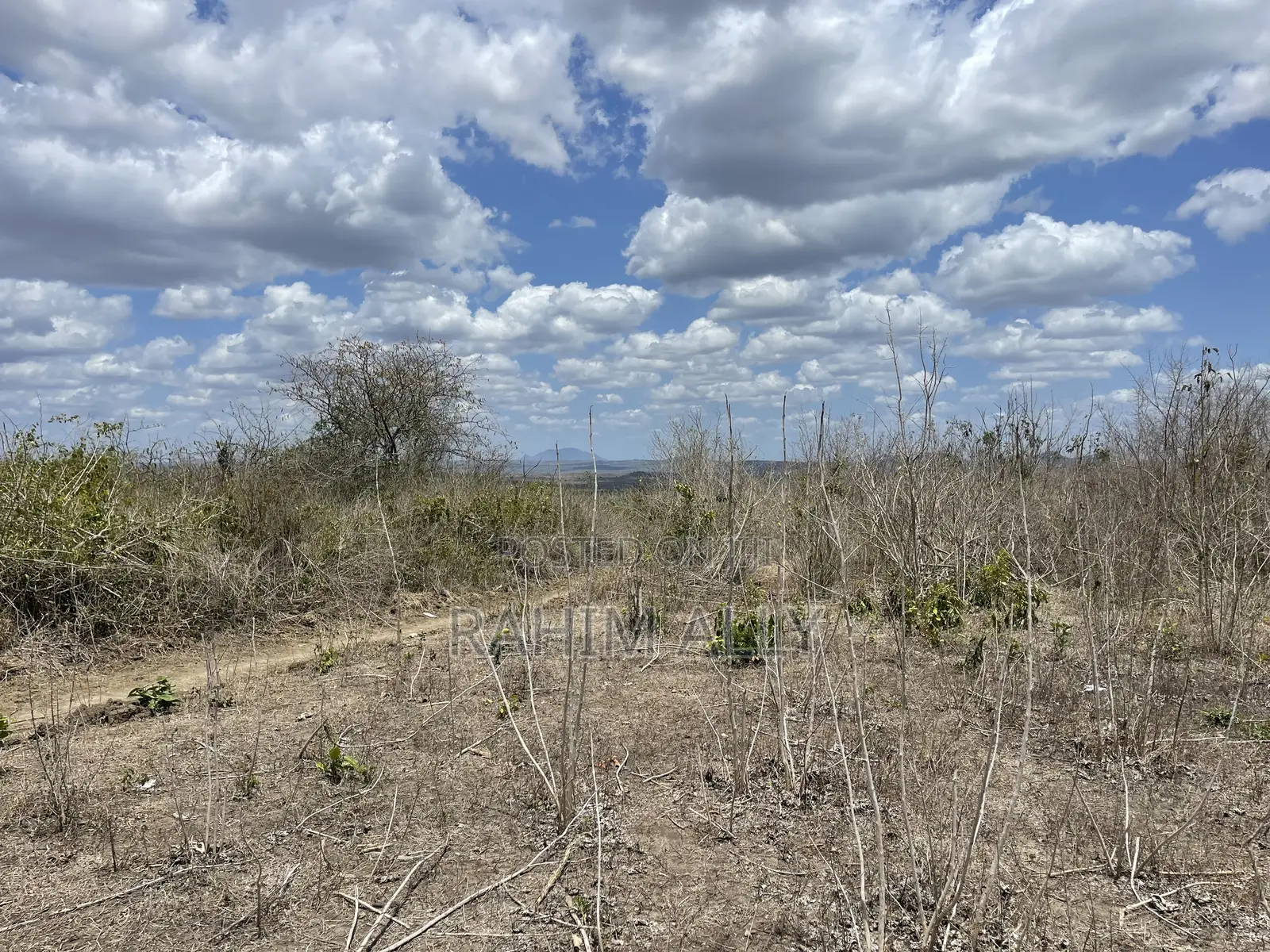 Shamba Linauzwa Eka 200.