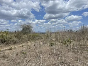 Shamba Linauzwa Eka 200.