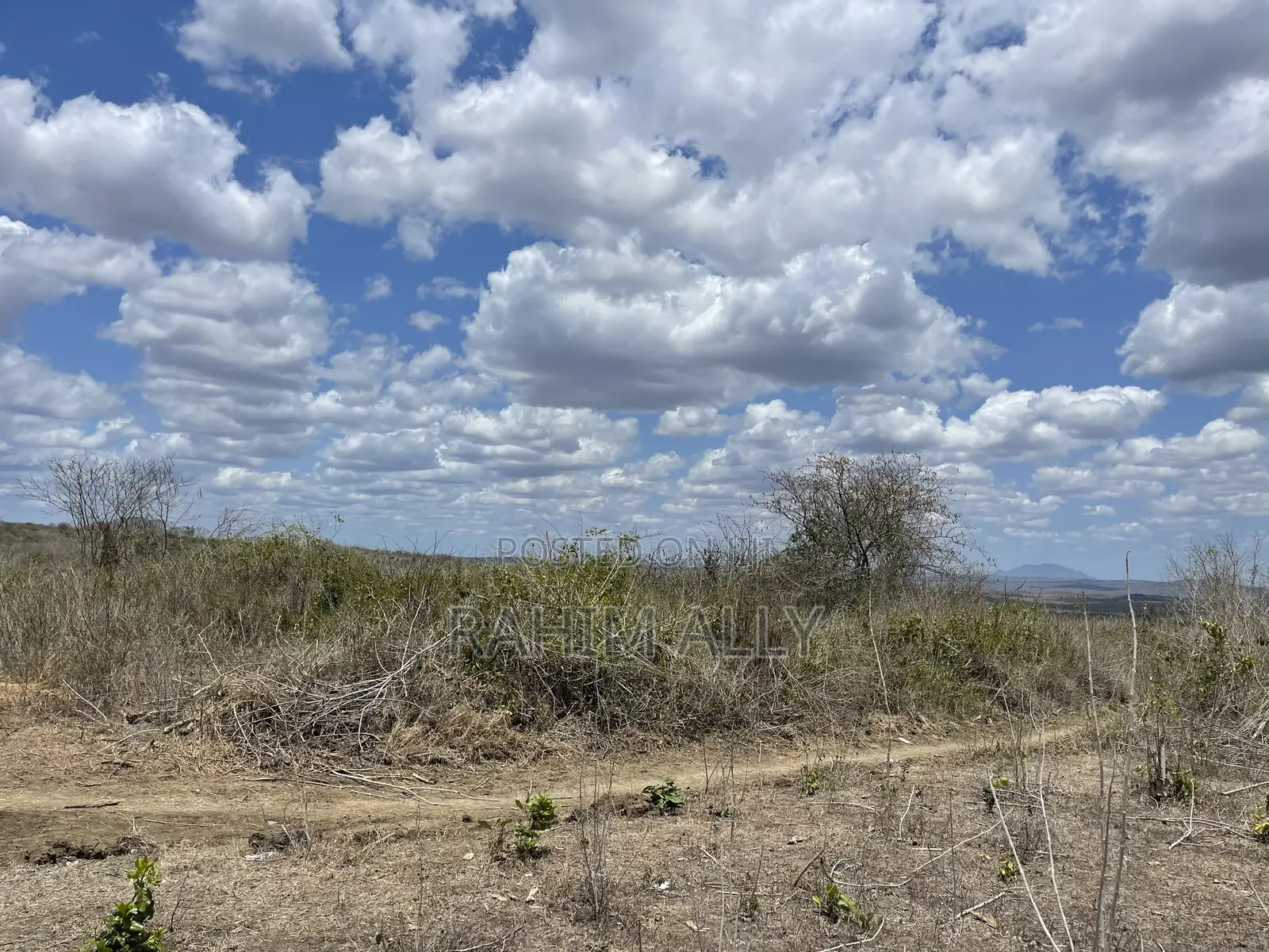 Shamba Linauzwa Eka 200.