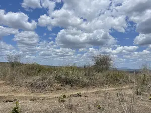 Shamba Linauzwa Eka 200.