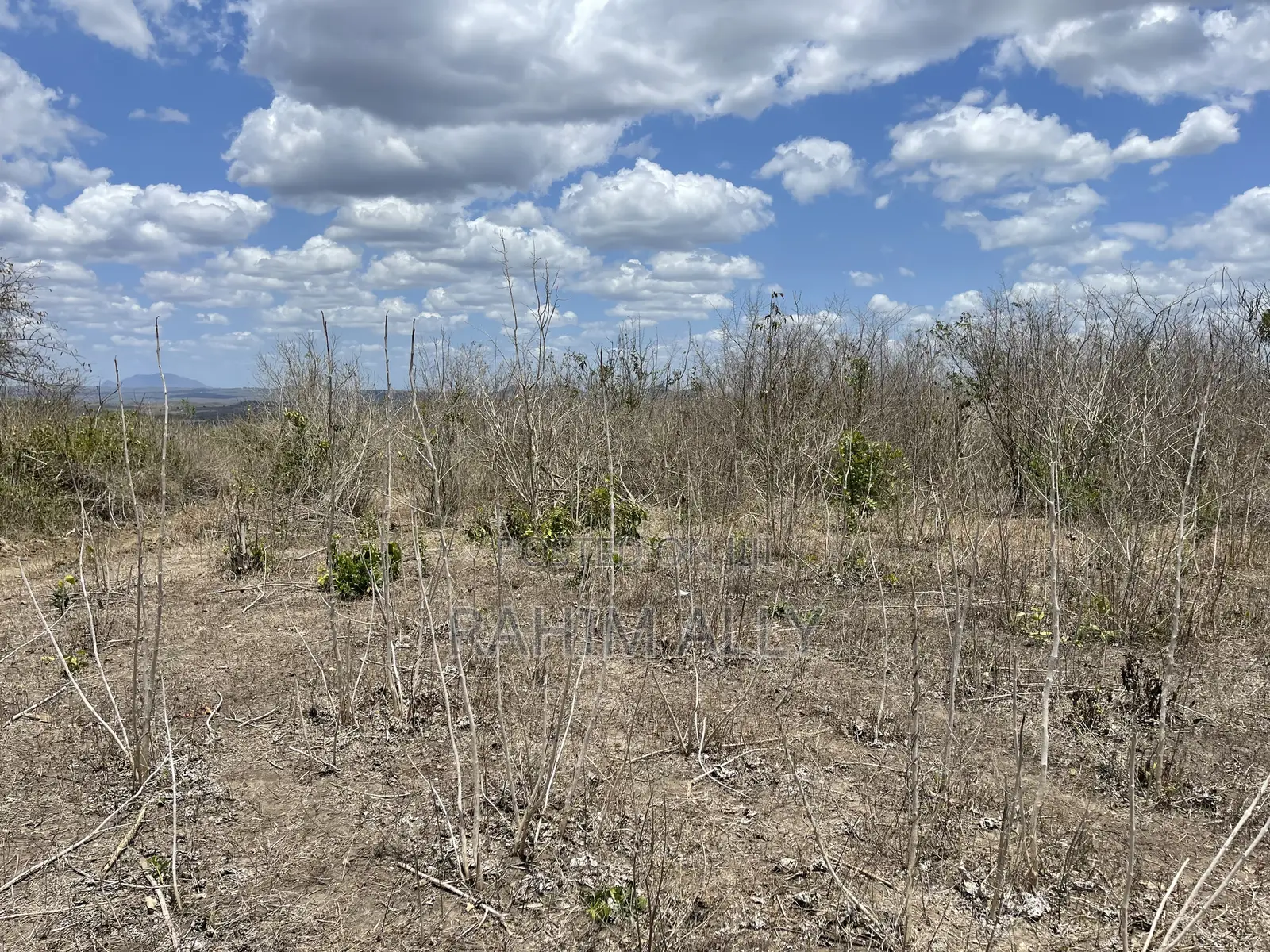 Shamba Linauzwa Eka 200.
