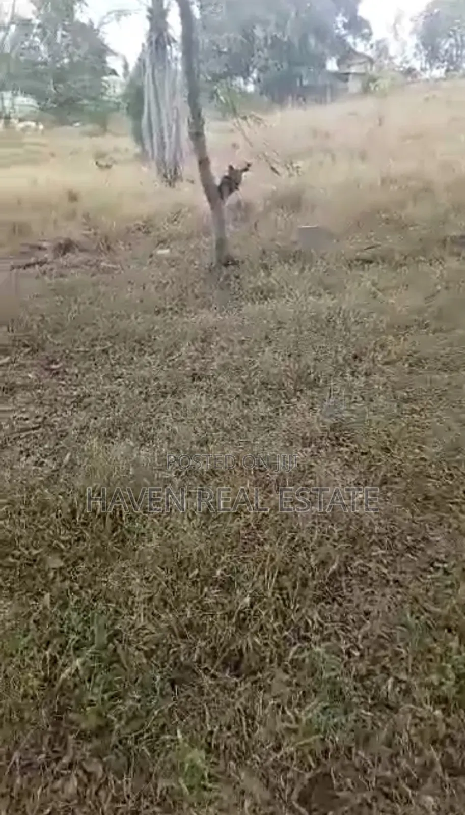 Viwanja Vinauzwa Kimara B