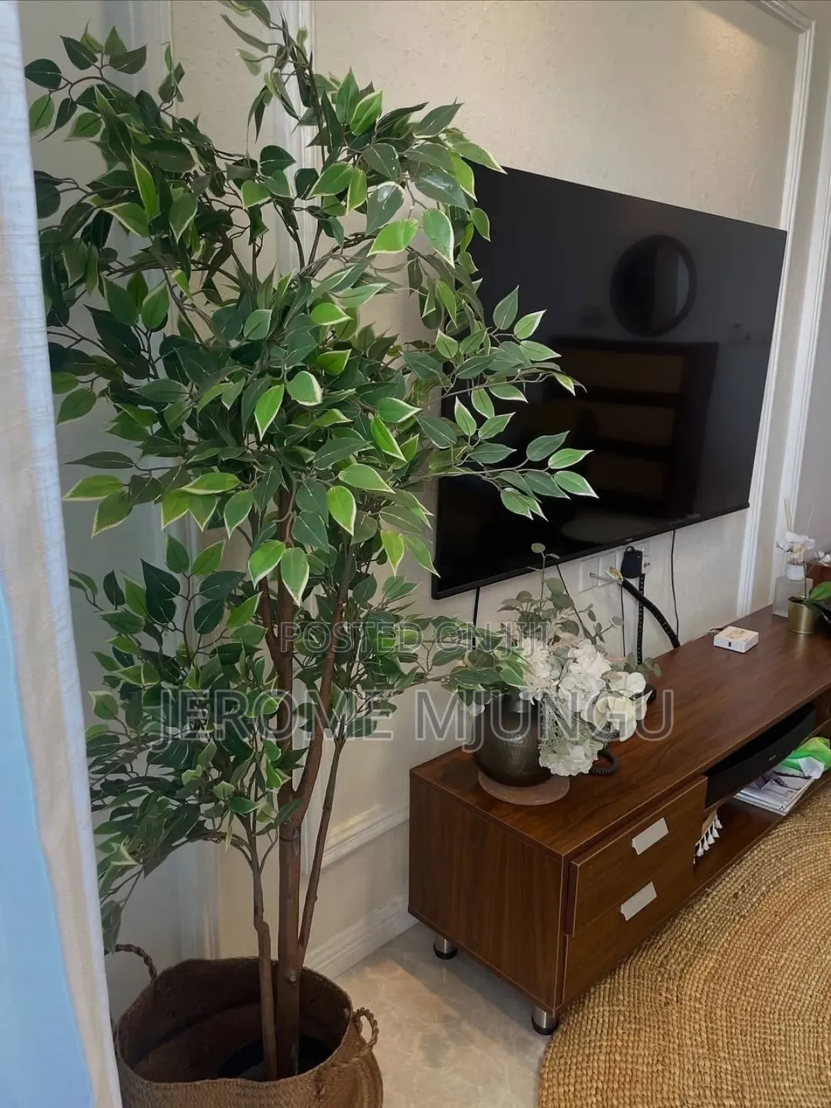 Furnished 1bdrm Apartment in Mikocheni for rent