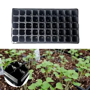 Seed Trays