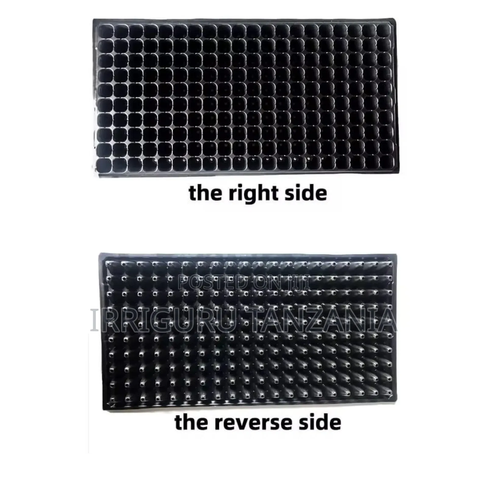 Seed Trays