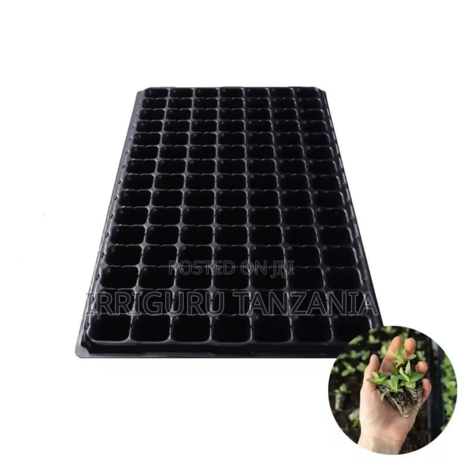 Seed Trays